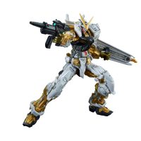 RG 1/144 Gundam Astray Gold Frame
