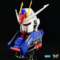 BTF Aile Strike Gundam Head Portrait & Cockpit