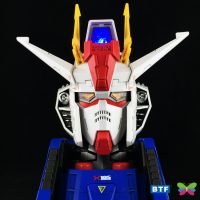 BTF Aile Strike Gundam Head Portrait & Cockpit