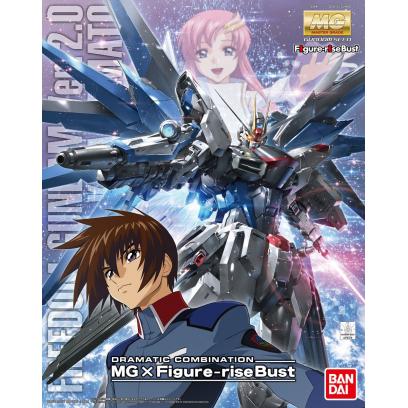 MG 1/100 Freedom Gundam Ver. 2.0 & Kira Yamato Dramatic Combination