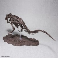 imaginary_skeleton-tyrannosaurus-2