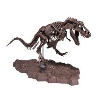imaginary_skeleton-tyrannosaurus