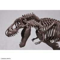 imaginary_skeleton-tyrannosaurus-3