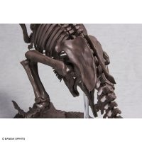 imaginary_skeleton-tyrannosaurus-4