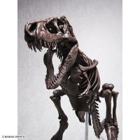 imaginary_skeleton-tyrannosaurus-8