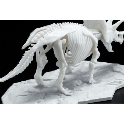 limex_skeleton-triceratops-4