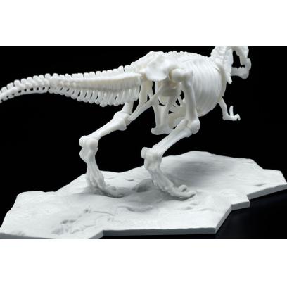 limex_skeleton-tyrannosaurus-6