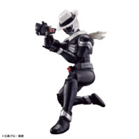 frs-kamen_rider_skull-3