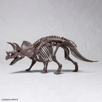 Imaginary Skeleton 1/32 Triceratops
