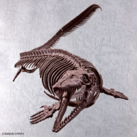 imaginary_skeleton-mosasaurus-4