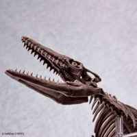 imaginary_skeleton-mosasaurus-6