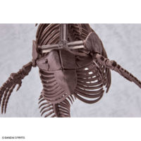 imaginary_skeleton-mosasaurus-8
