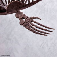 imaginary_skeleton-mosasaurus-9