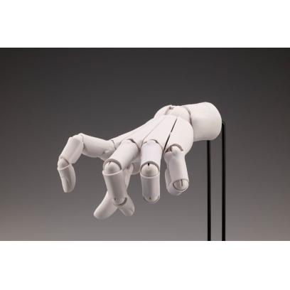 at008-artist_support_item-hand_model_l_white-2