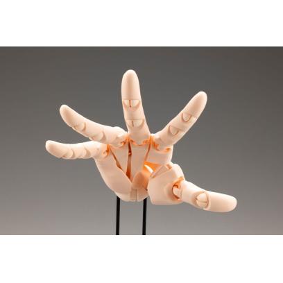 at021-artist_support_item-hand_model_r_pale_orange-2