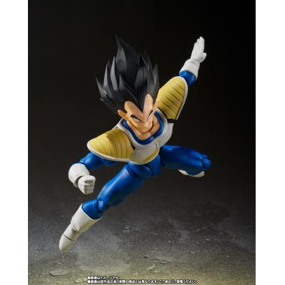 shfiguarts-vegeta_24000_power_level-5