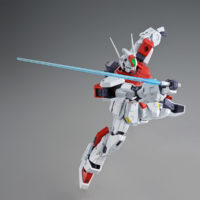 pb-mg-f80_gunraid-3