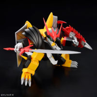 hg-jyakomaru-4