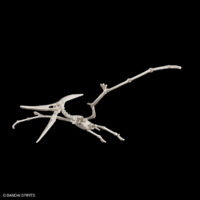 plannosaurus-07-pteranodon-2