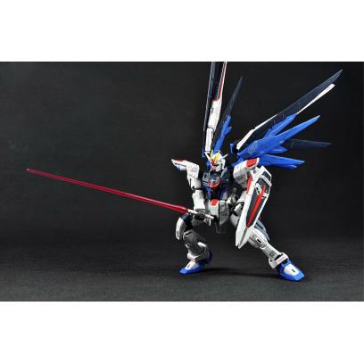 RG 1/144 Freedom Gundam